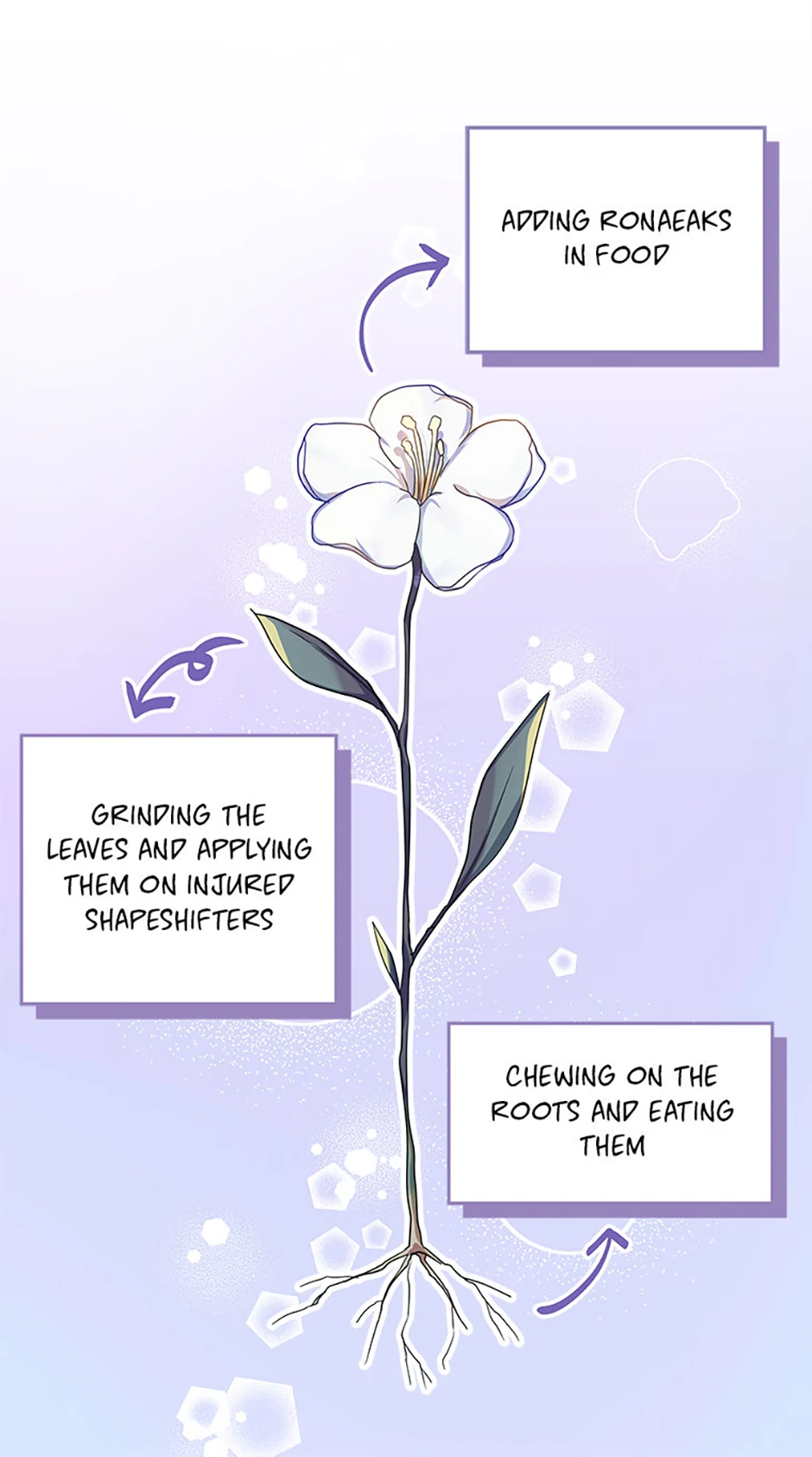 Read Lady Blue Bird of the White Lion Family EN Manga Online