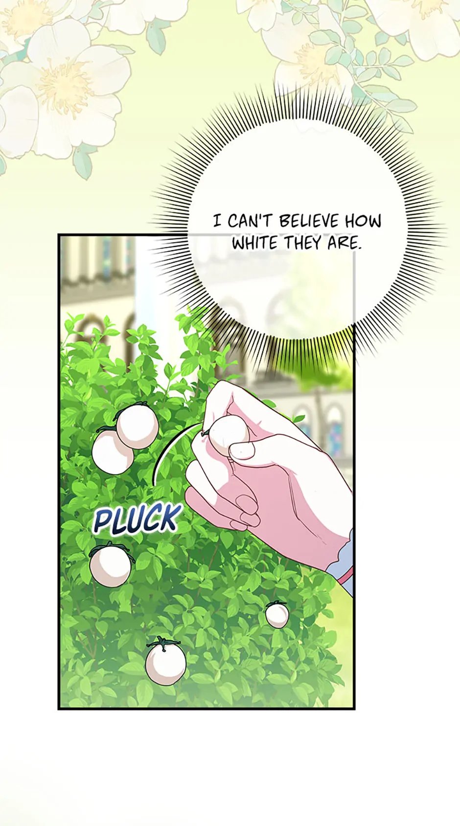 Read Lady Blue Bird of the White Lion Family EN Manga Online