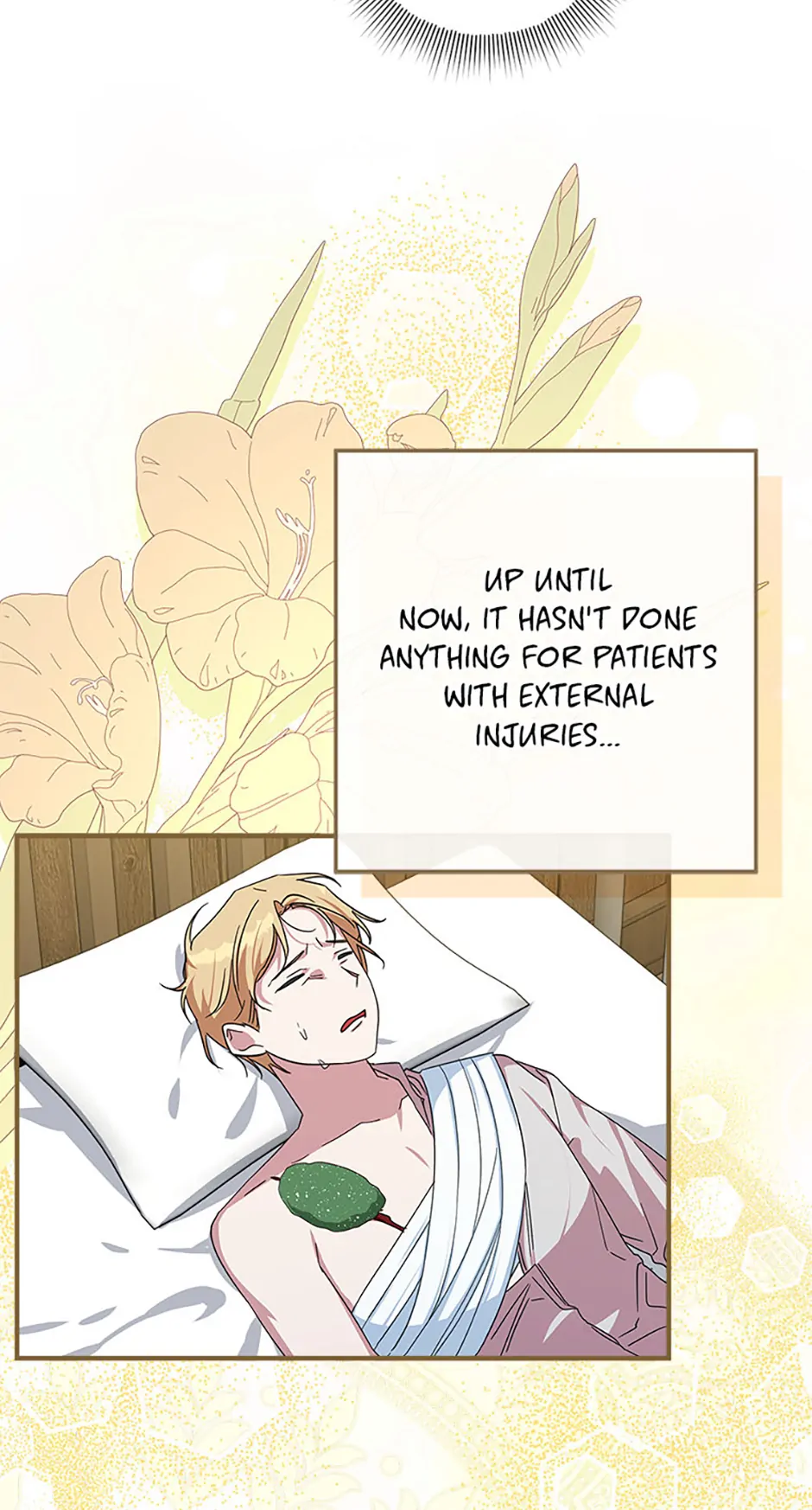 Read Lady Blue Bird of the White Lion Family EN Manga Online