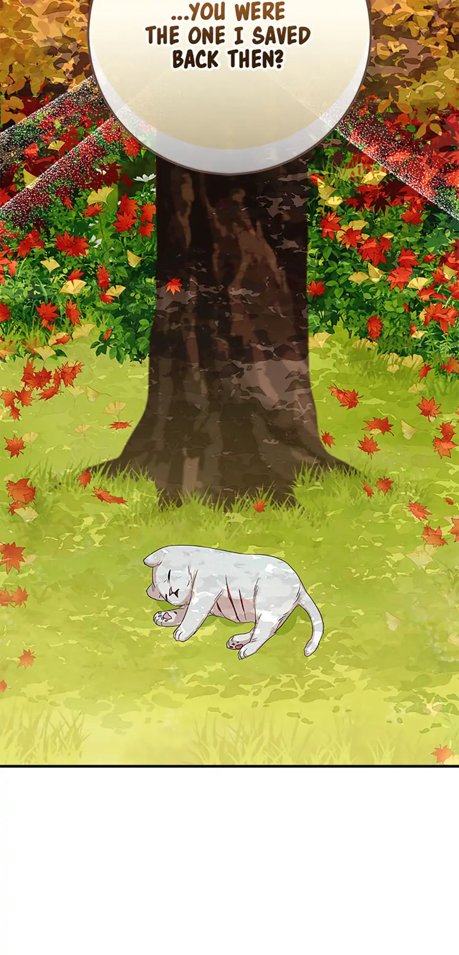 Read Lady Blue Bird of the White Lion Family EN Manga Online