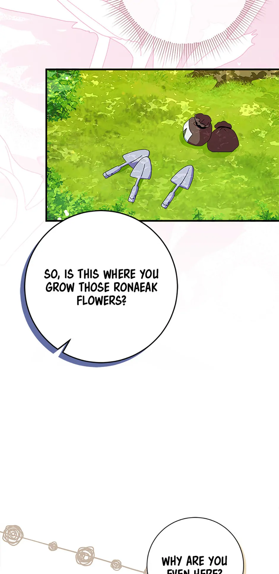 Read Lady Blue Bird of the White Lion Family EN Manga Online