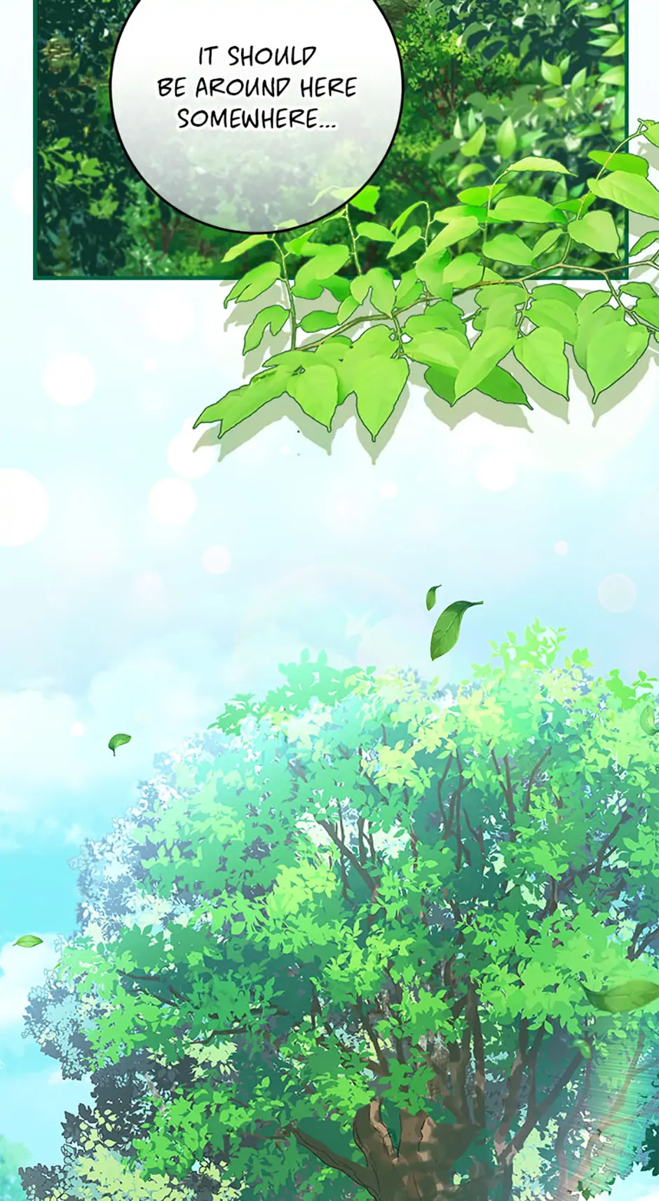 Read Lady Blue Bird of the White Lion Family EN Manga Online