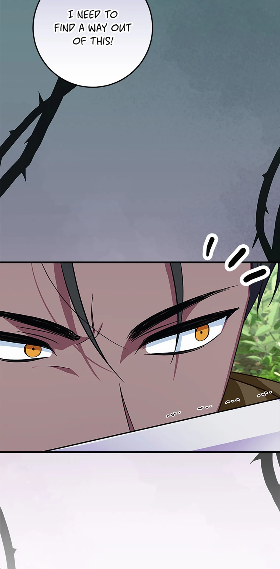 Read Lady Blue Bird of the White Lion Family EN Manga Online