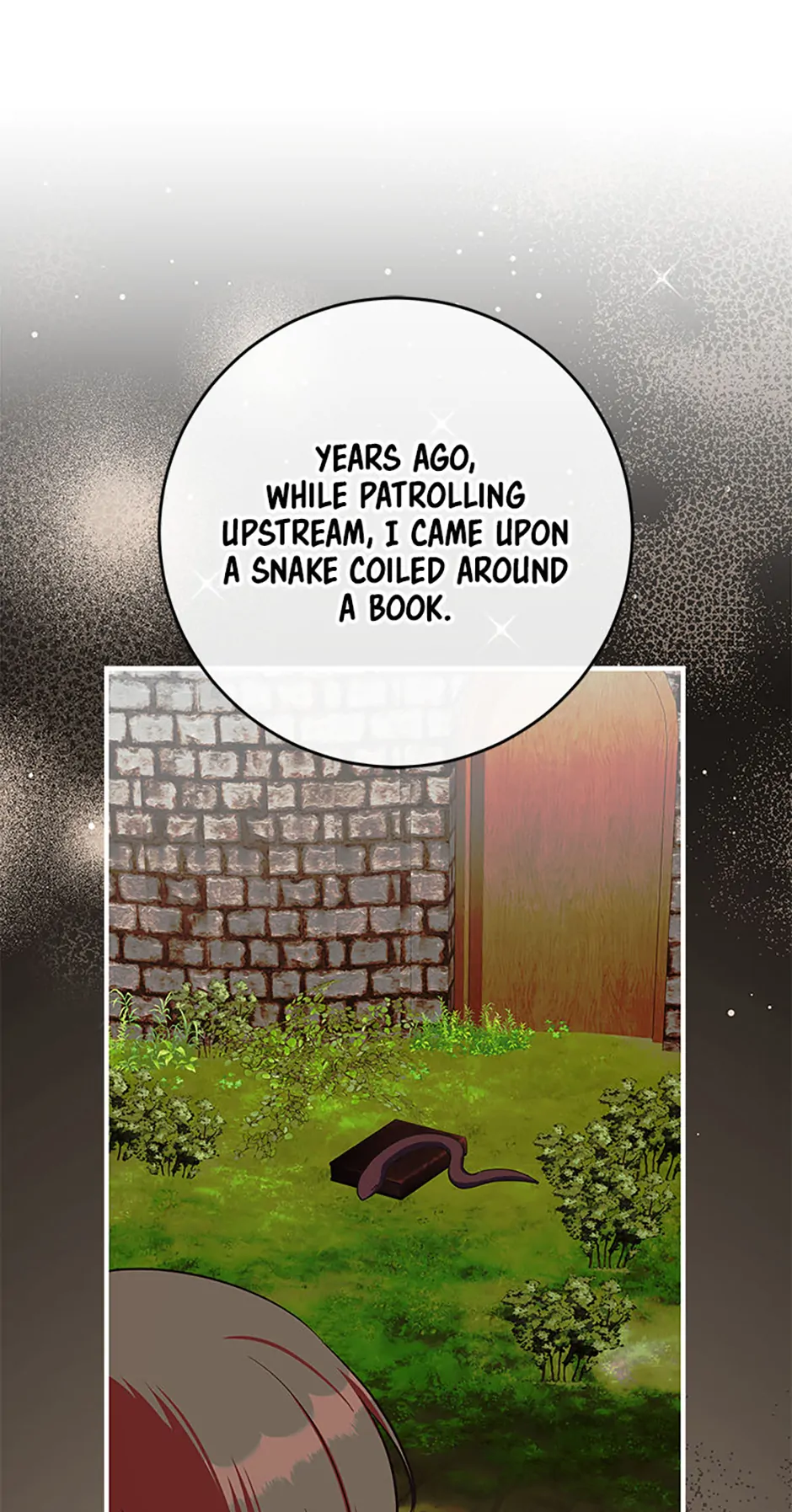 Read Lady Blue Bird of the White Lion Family EN Manga Online