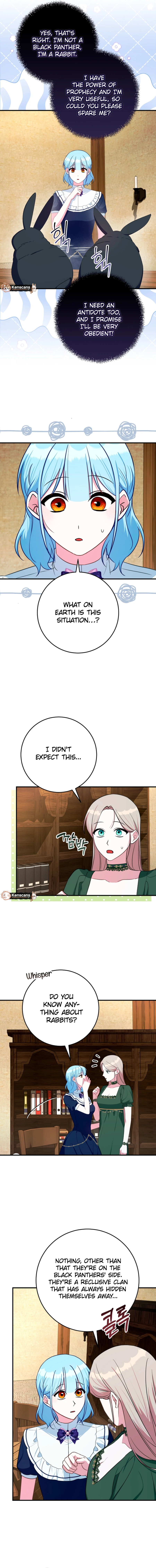 Read Lady Blue Bird of the White Lion Family EN Manga Online