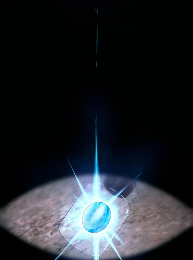 Read Lady Blue Bird of the White Lion Family EN Manga Online