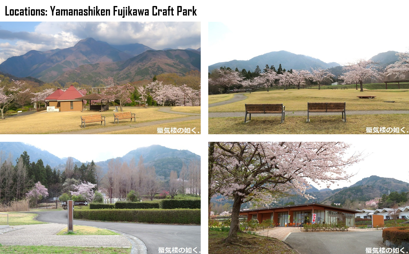 Read Laid-Back Camp EN Manga Online