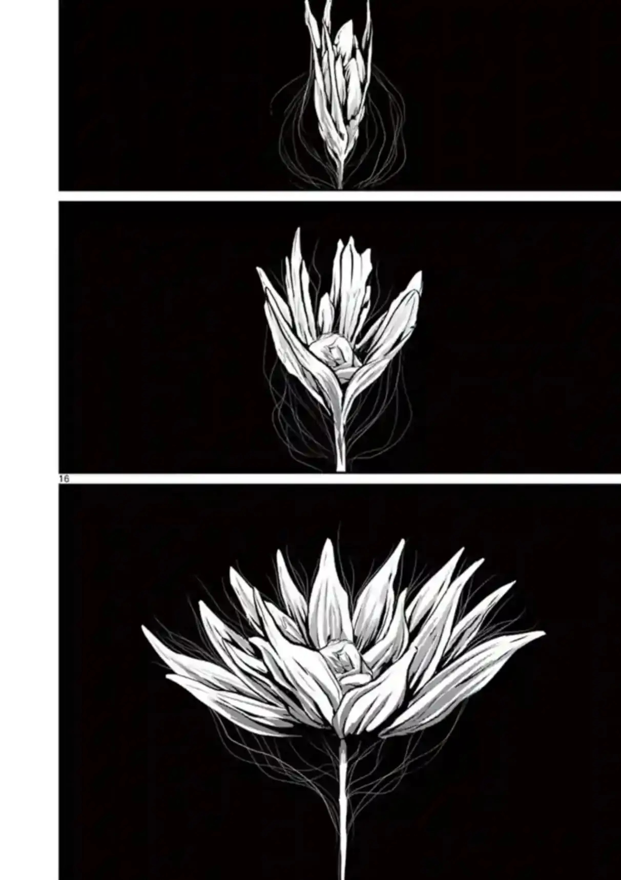 Read Naitou Shishiruirui Messatsu Death Road EN Manga Online