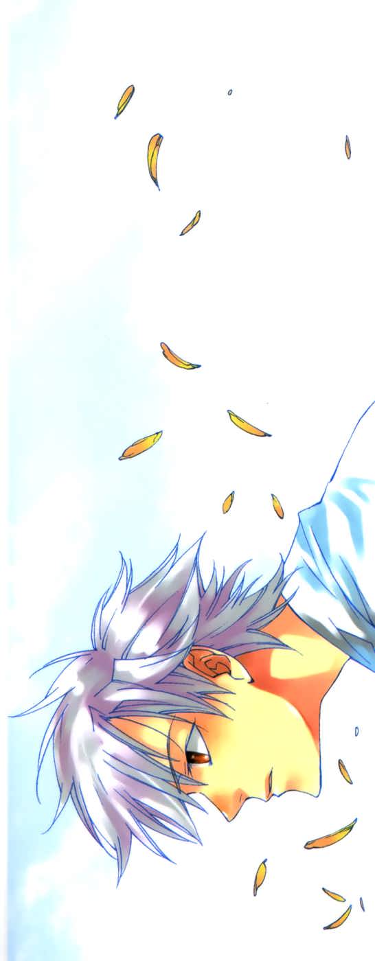 Read Neon Genesis Evangelion Angelic Days EN Manga Online