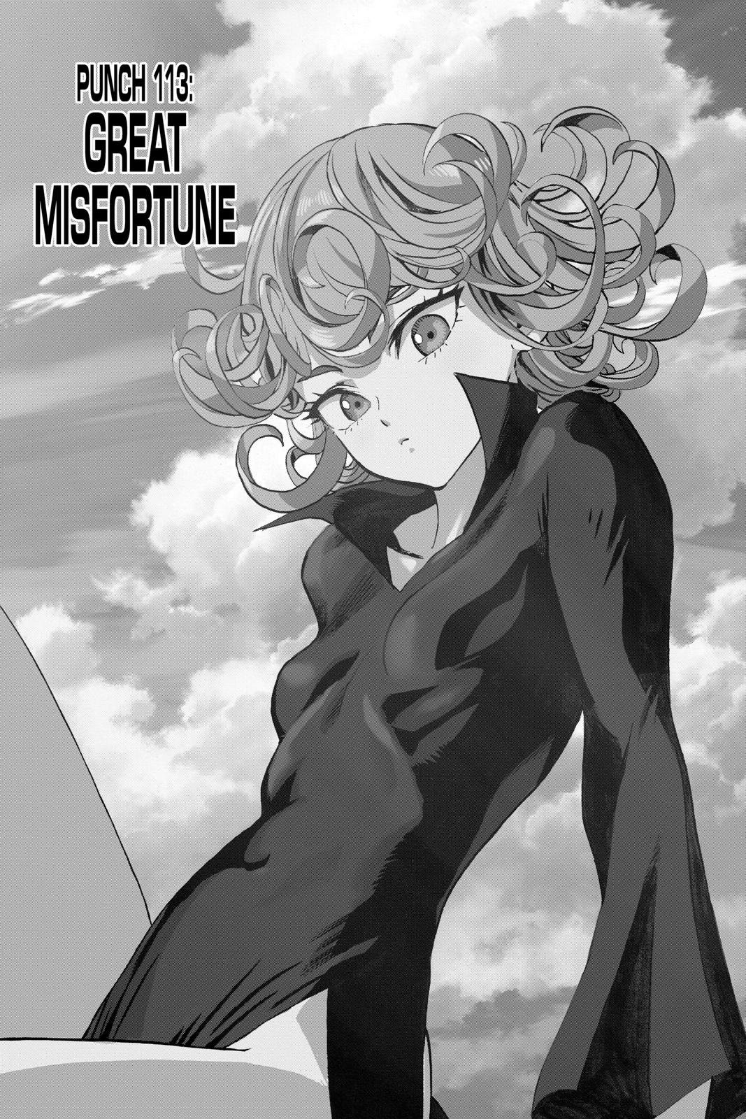 Read One-Punch Man EN Manga Online