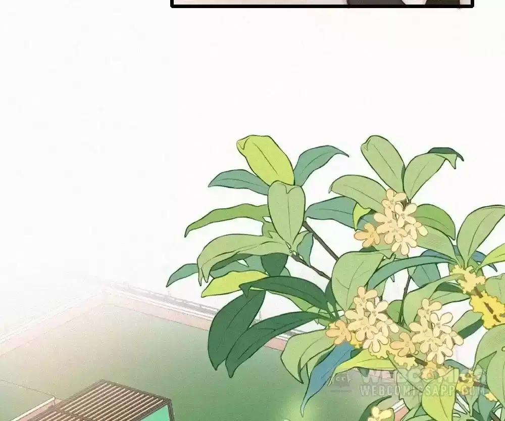 Read Only Love EN Manga Online