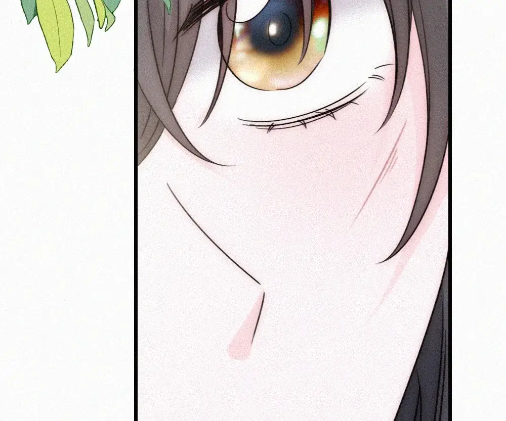 Read Only Love EN Manga Online