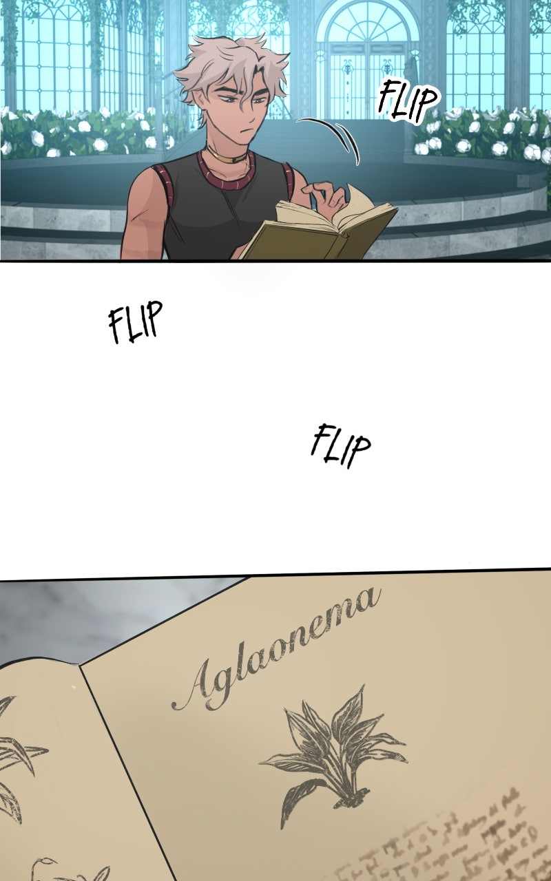 Read Osora EN Manga Online