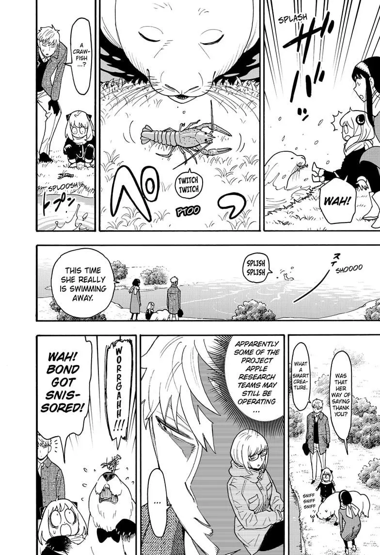 Read SPY x FAMILY EN Manga Online