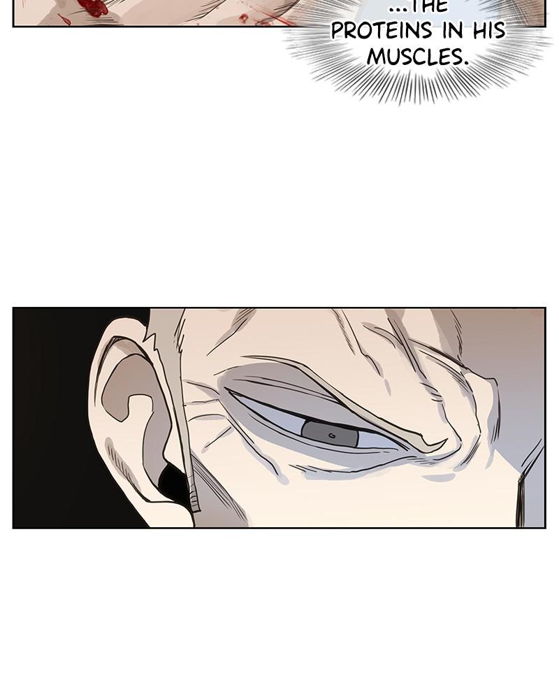 Read The Boxer EN Manga Online