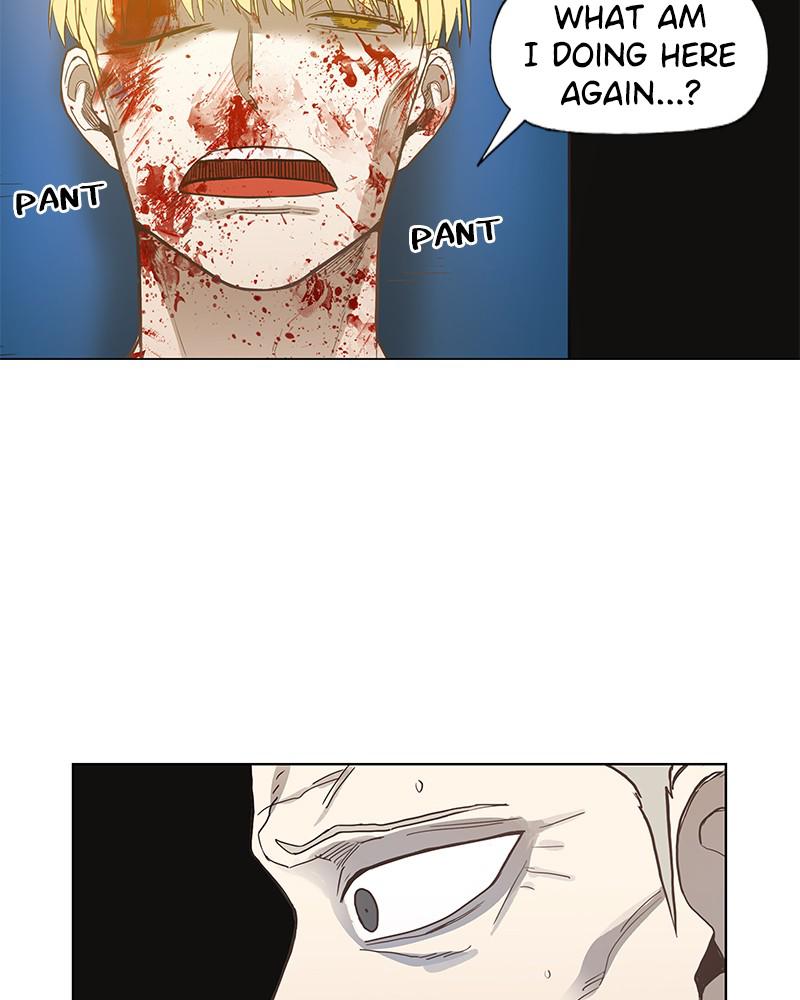 Read The Boxer EN Manga Online