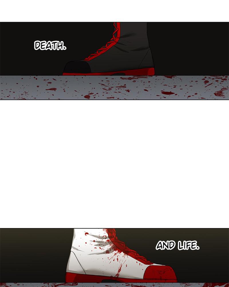 Read The Boxer EN Manga Online