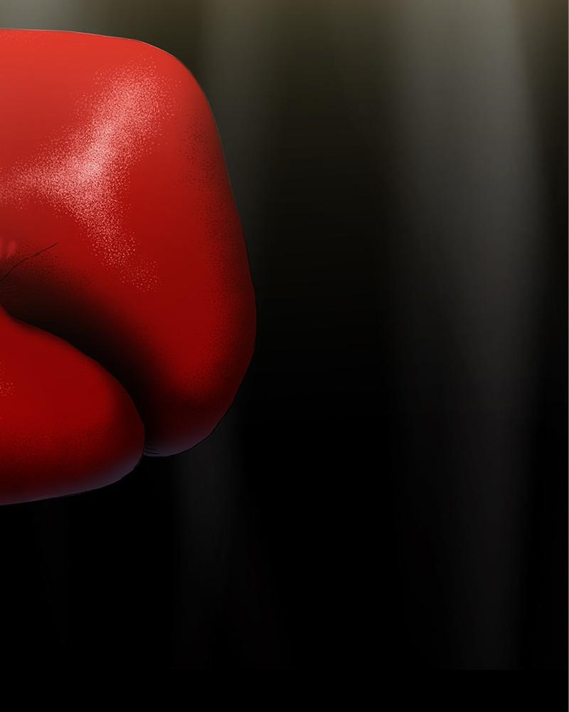 Read The Boxer EN Manga Online