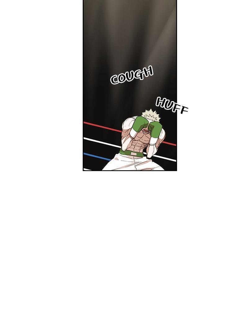 Read The Boxer EN Manga Online