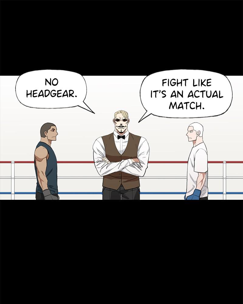 Read The Boxer EN Manga Online