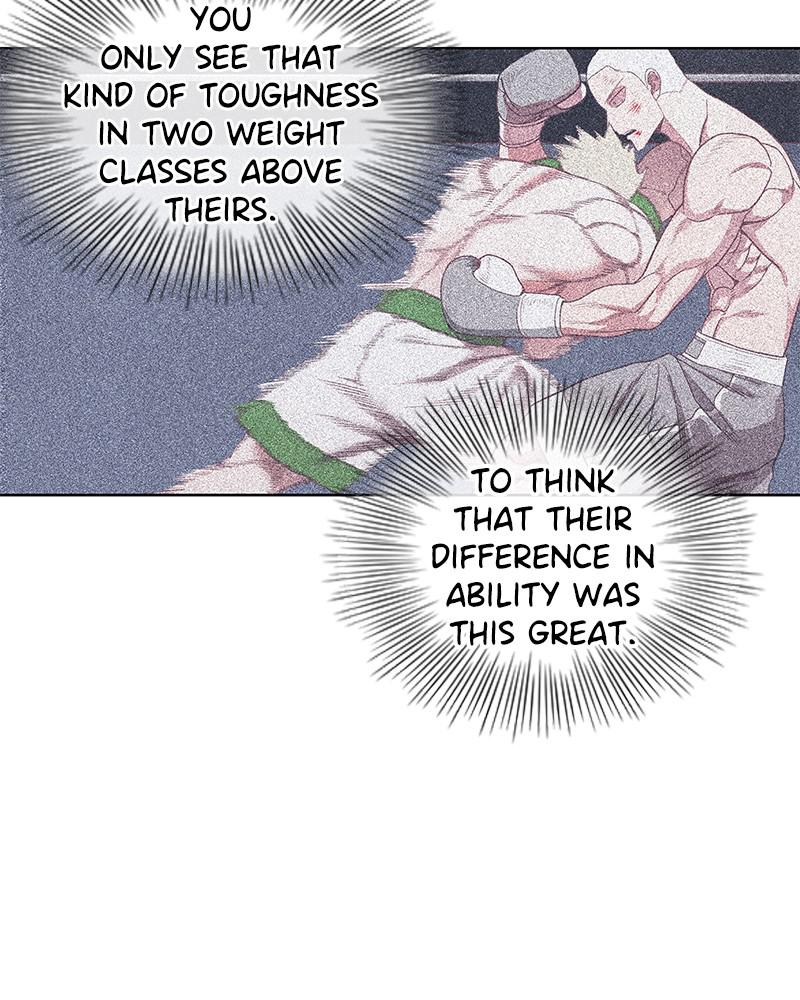 Read The Boxer EN Manga Online