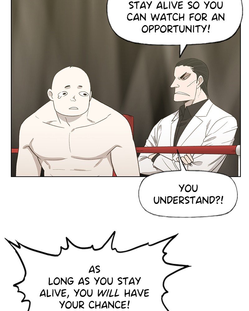 Read The Boxer EN Manga Online