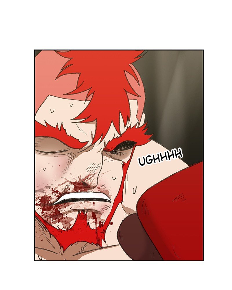 Read The Boxer EN Manga Online