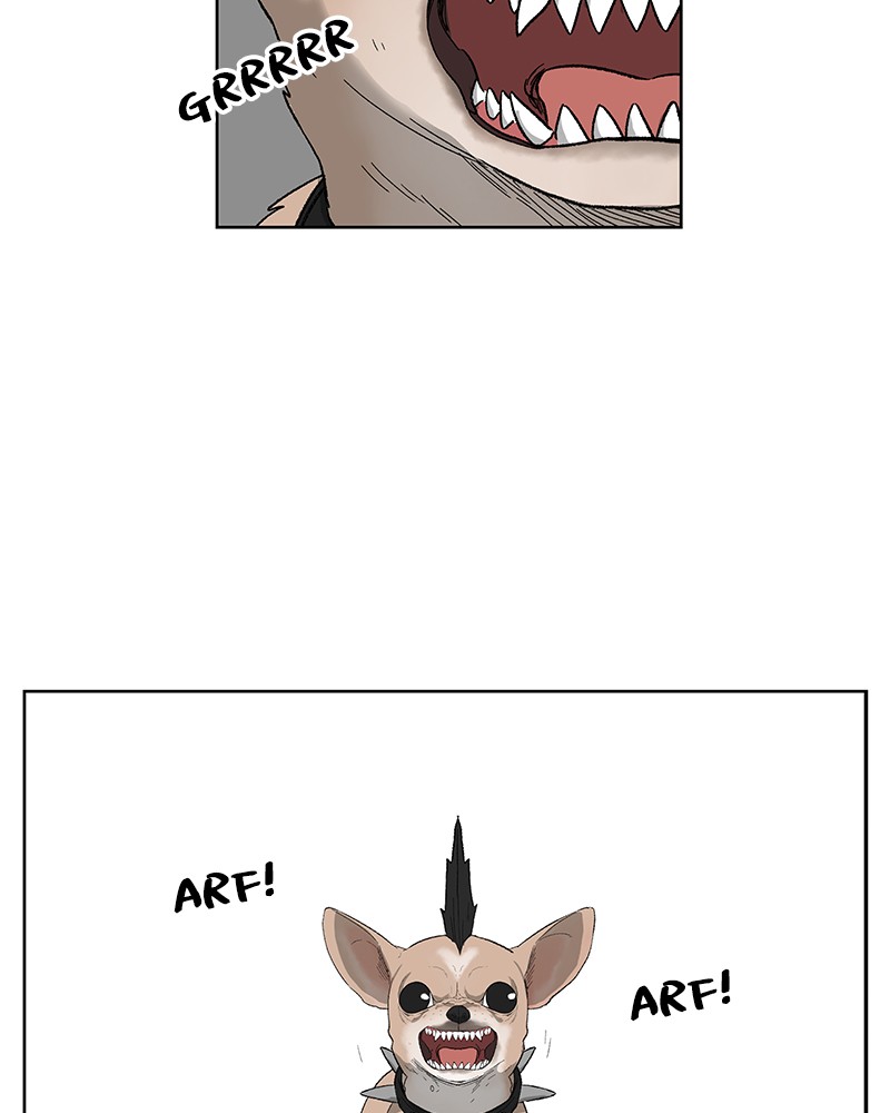 Read The Boxer EN Manga Online