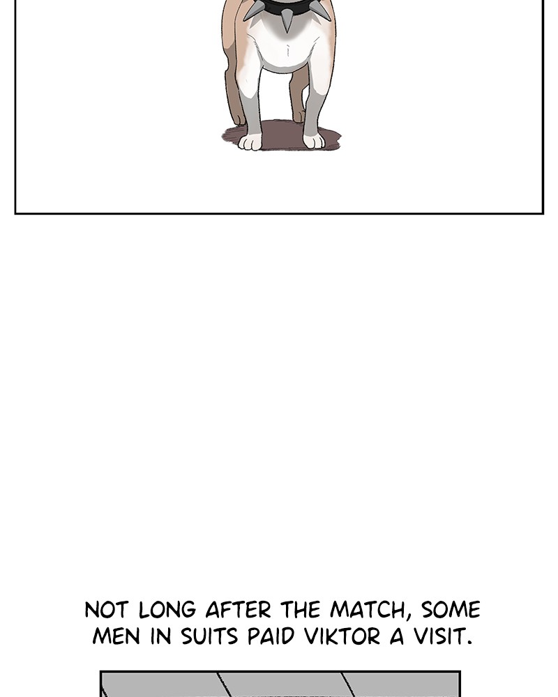 Read The Boxer EN Manga Online