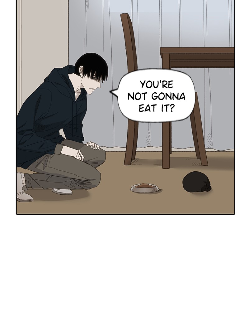 Read The Boxer EN Manga Online