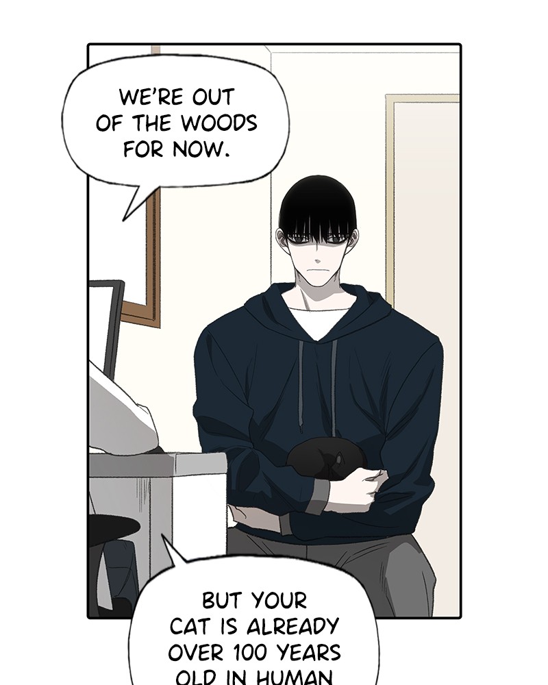 Read The Boxer EN Manga Online