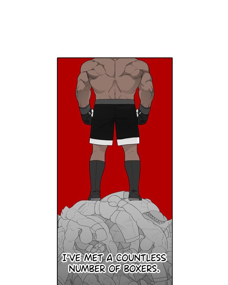 Read The Boxer EN Manga Online