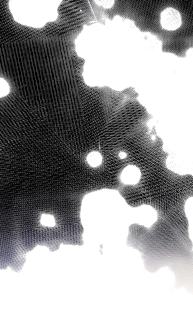 Read The Law of Immutability EN Manga Online