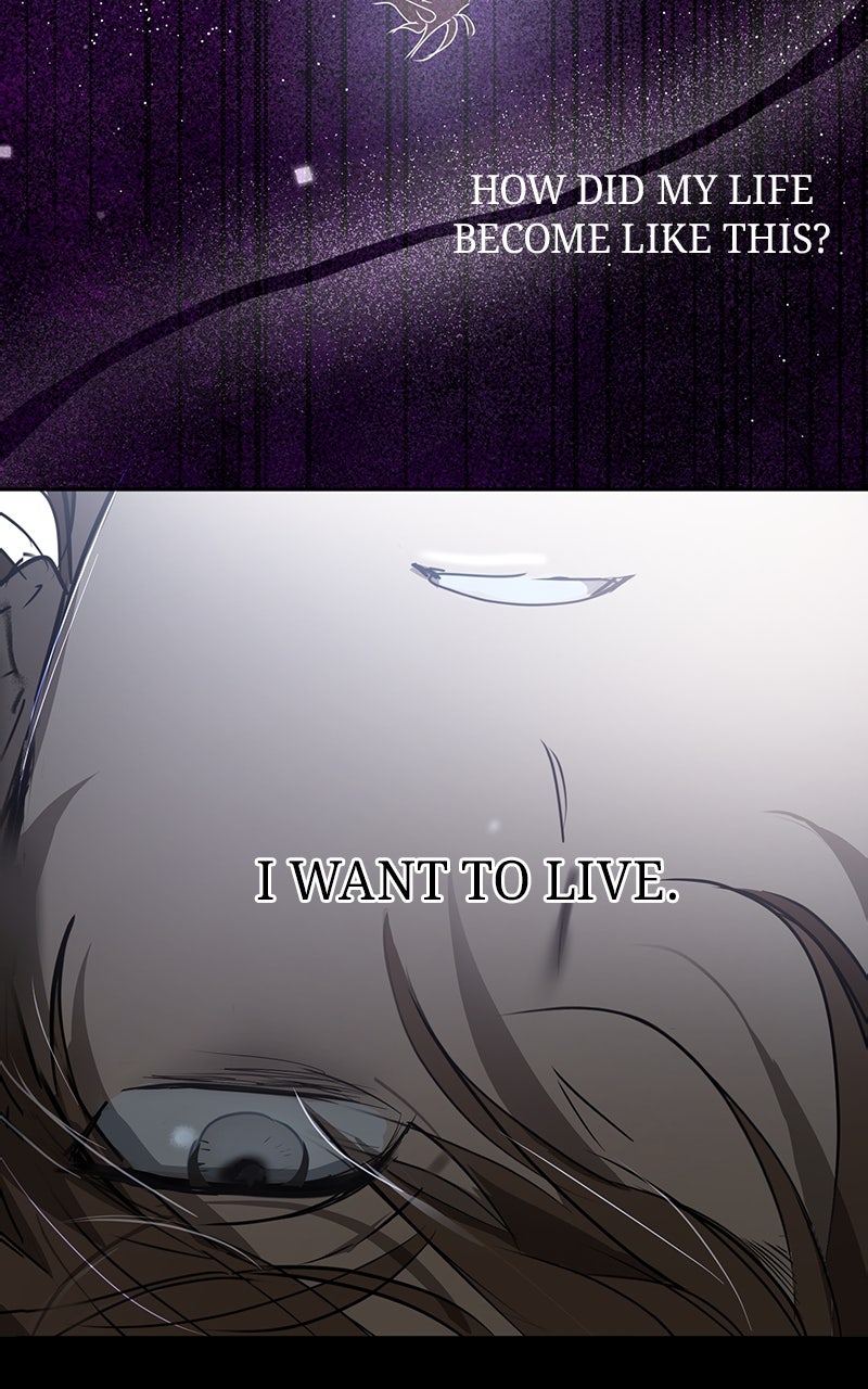 Read The Law of Immutability EN Manga Online