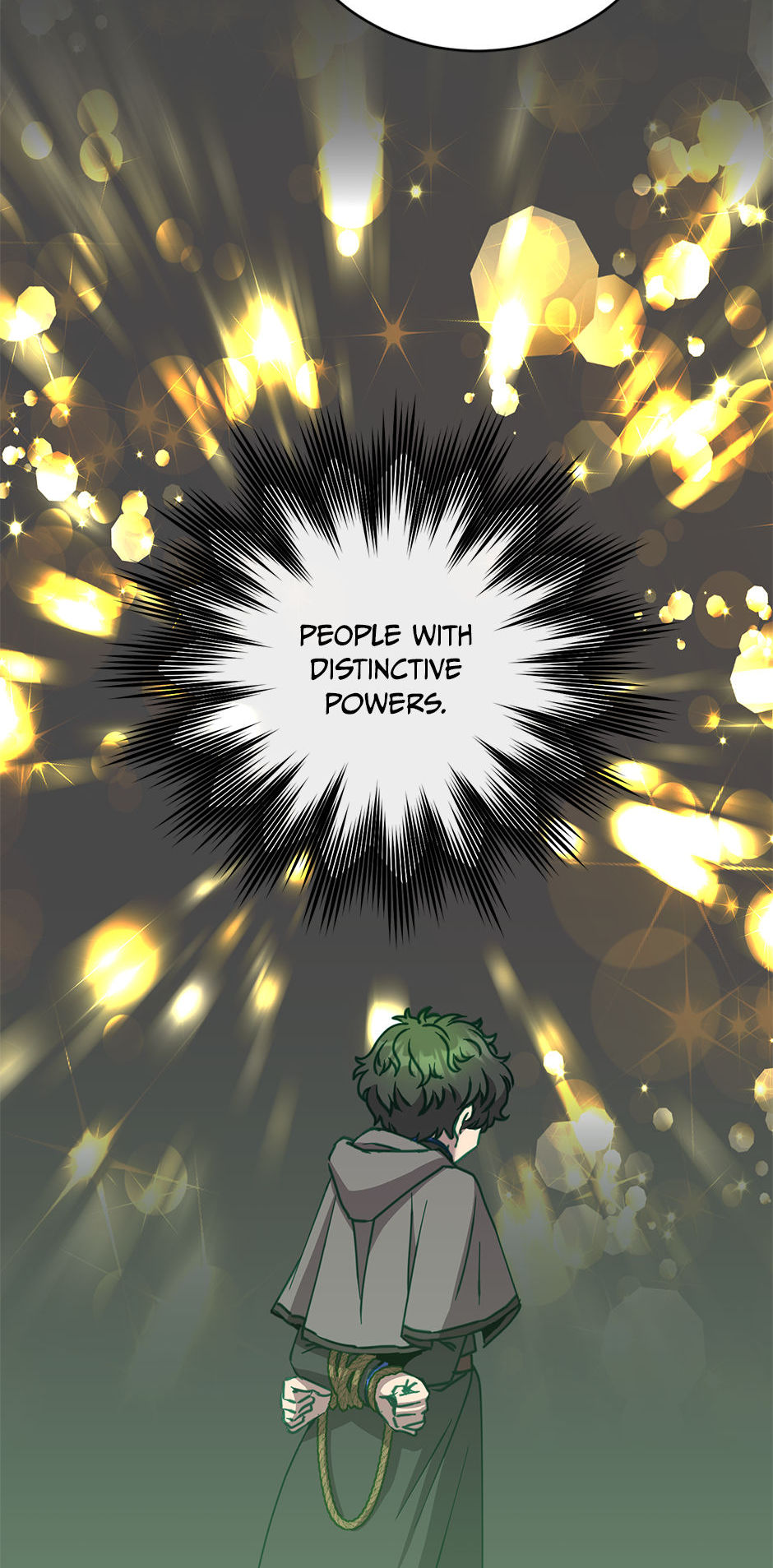 Read The Max Level Hero Strikes Back EN Manga Online