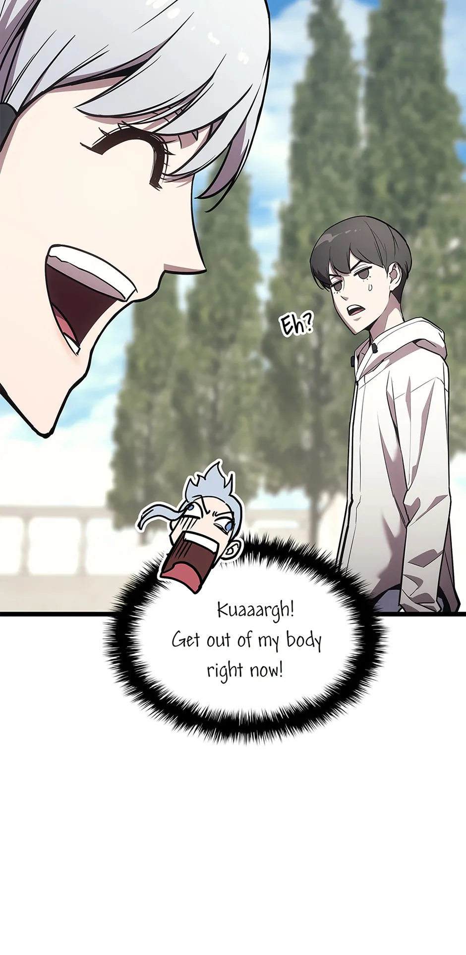 Read The Return of the Disaster-Class Hero EN Manga Online