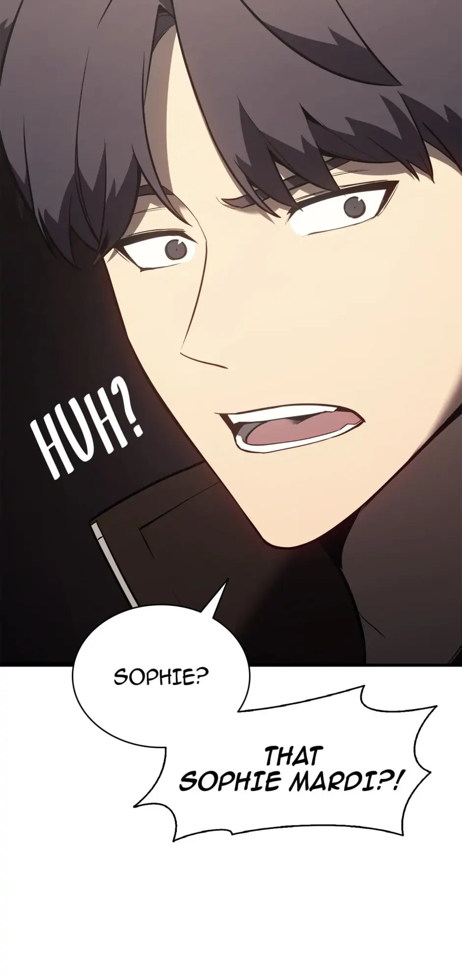 Read The Return of the Disaster-Class Hero EN Manga Online