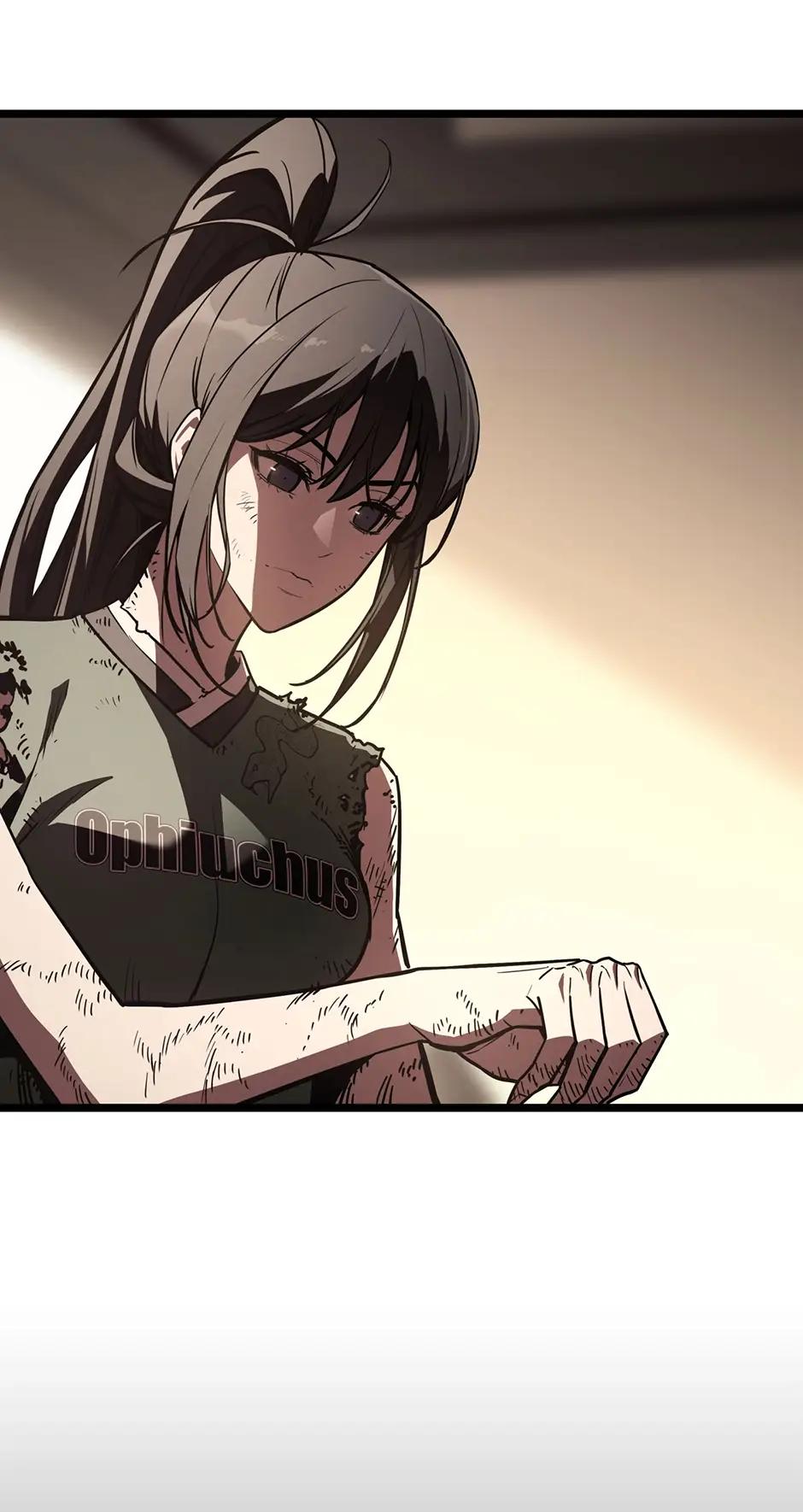 Read The Return of the Disaster-Class Hero EN Manga Online