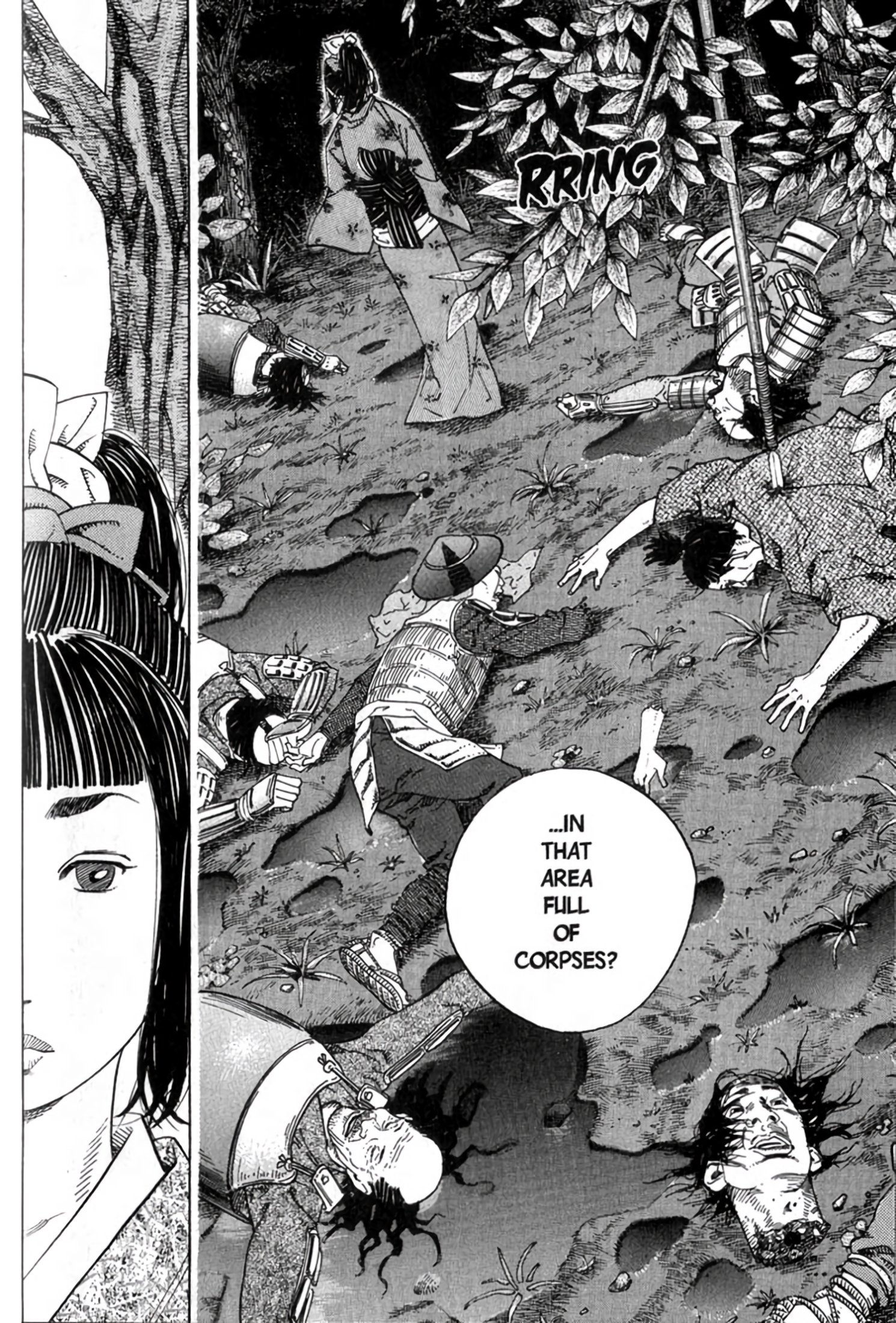 Read Vagabond EN Manga Online