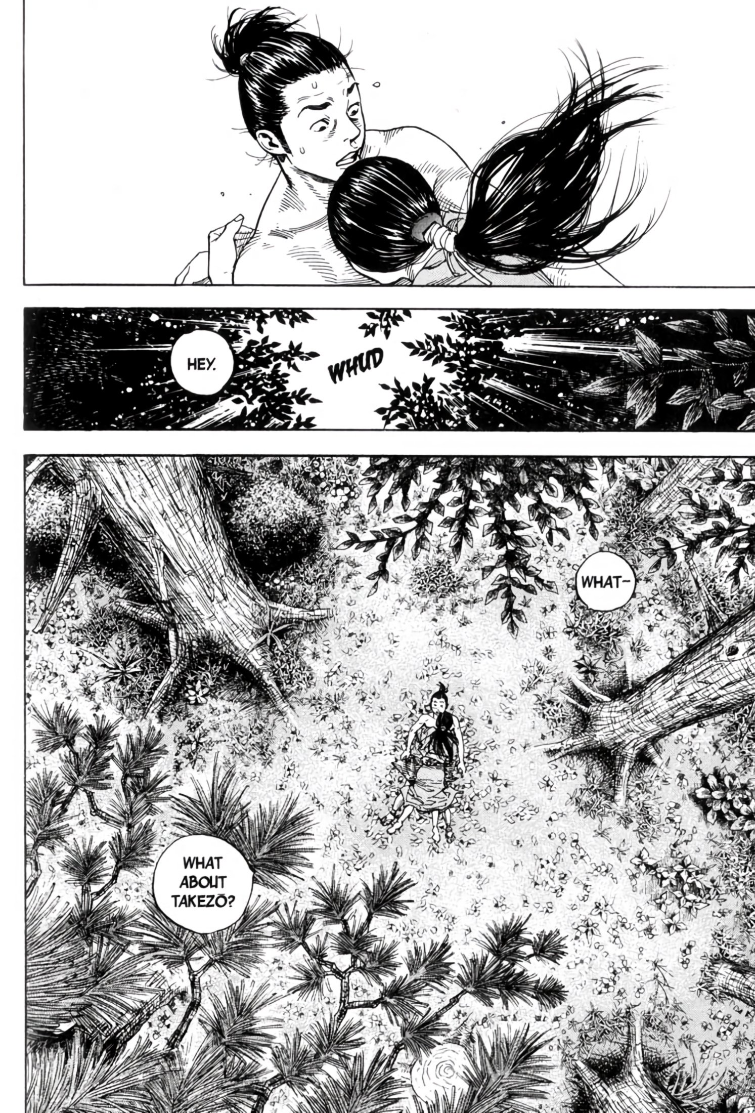 Read Vagabond EN Manga Online