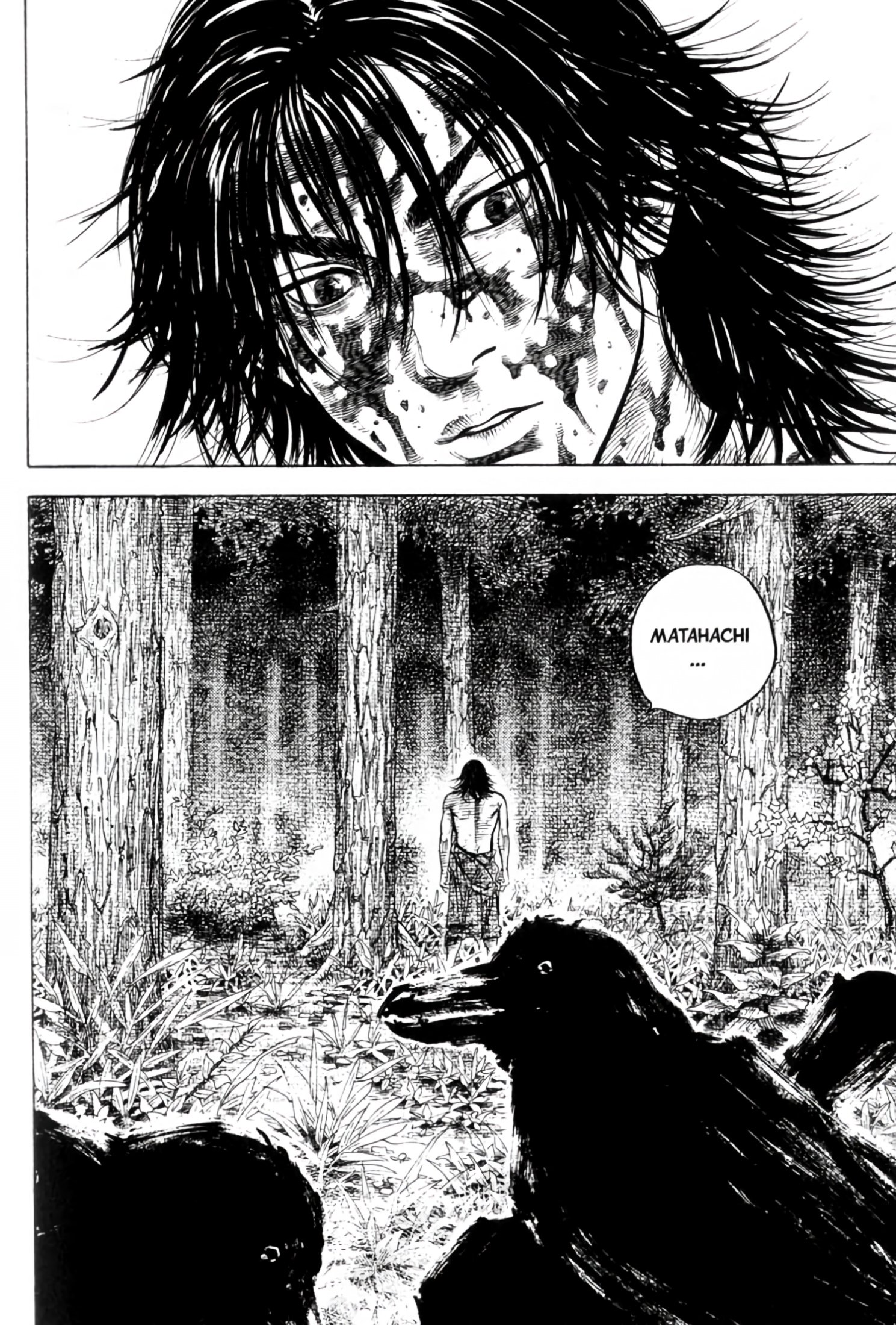 Read Vagabond EN Manga Online