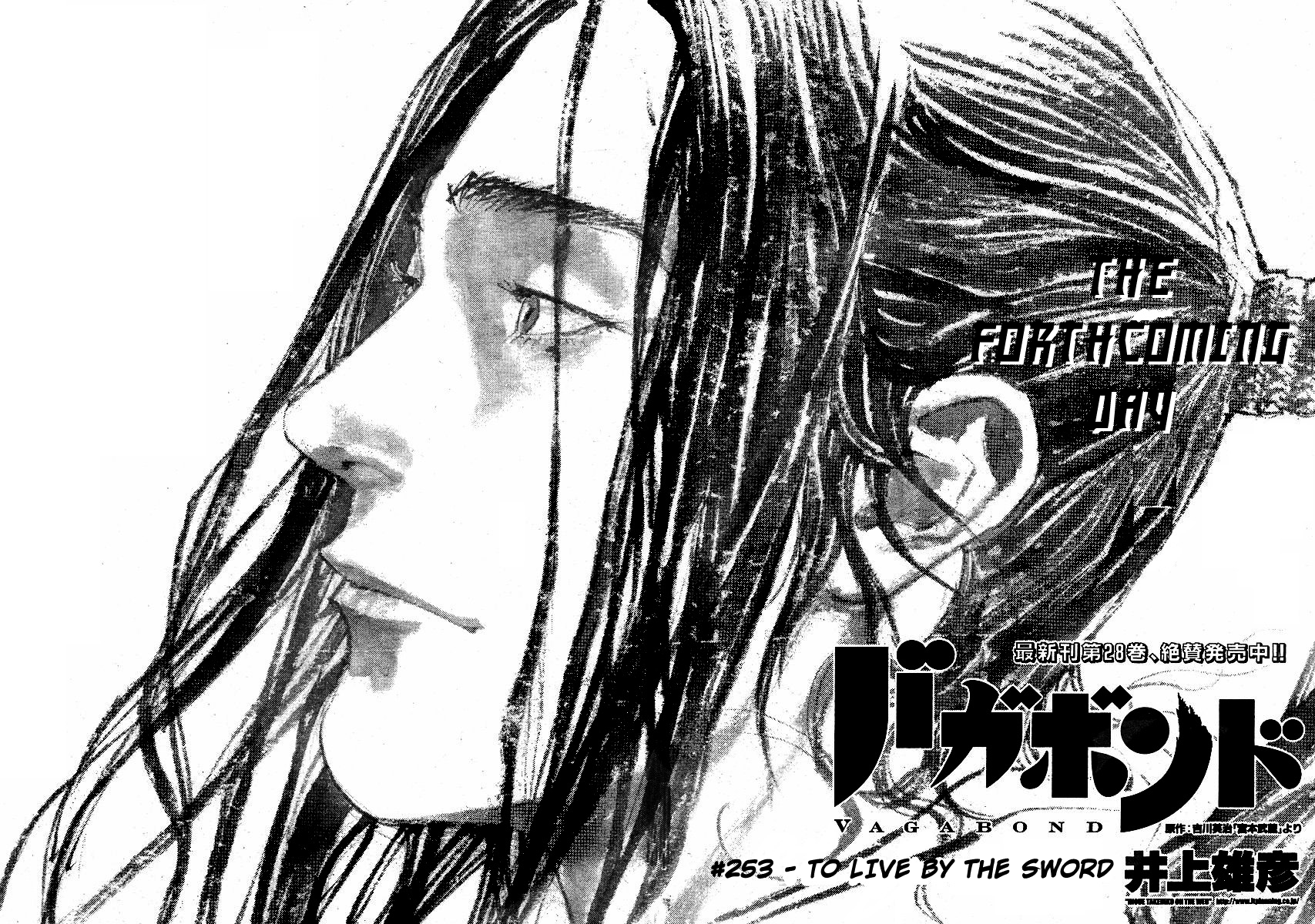 Read Vagabond EN Manga Online