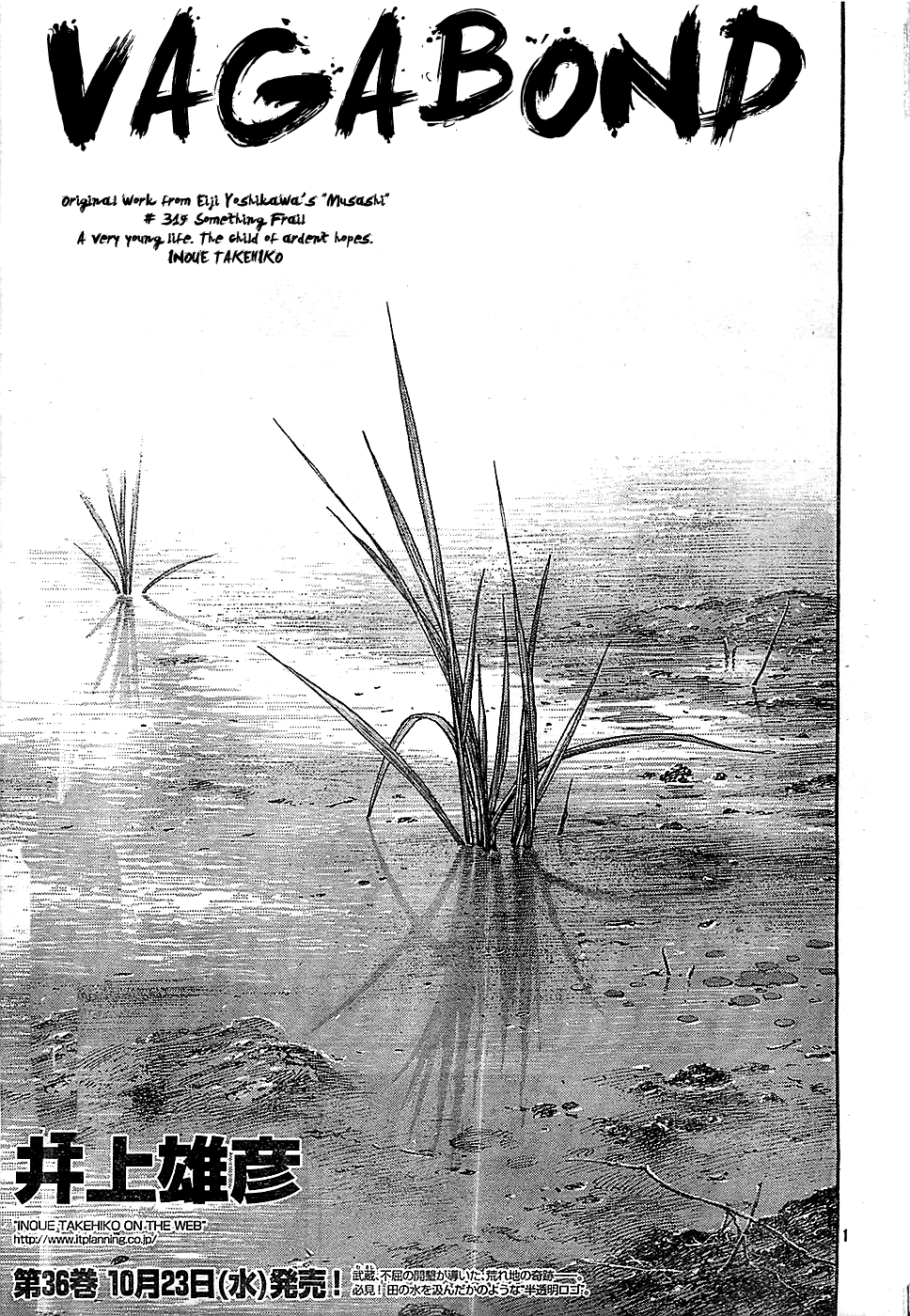 Read Vagabond EN Manga Online