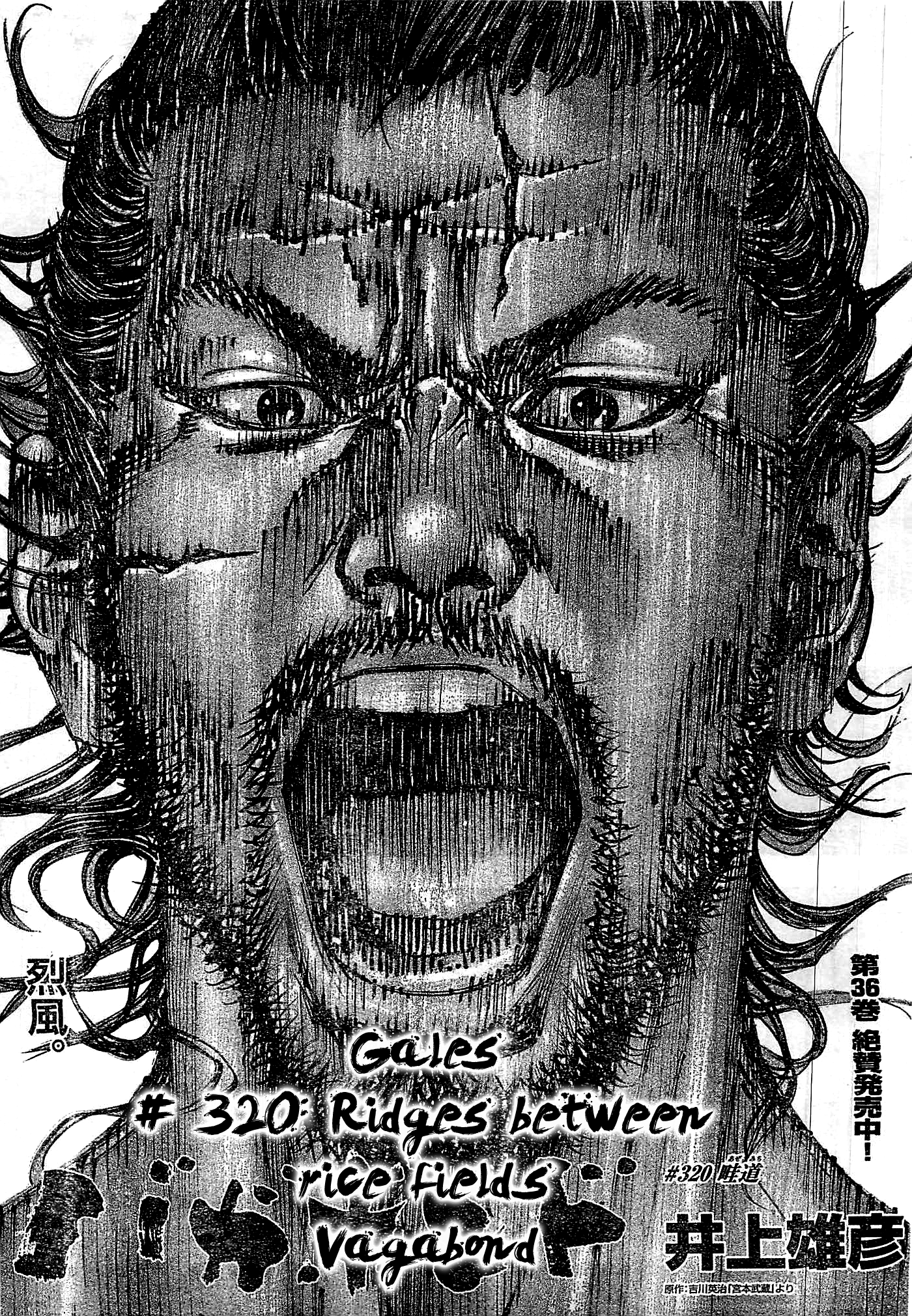 Read Vagabond EN Manga Online