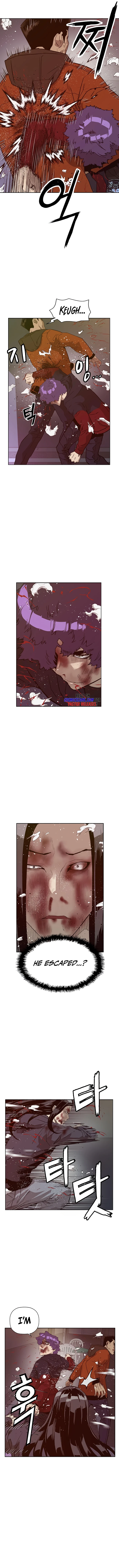 Read Weak Hero EN Manga Online