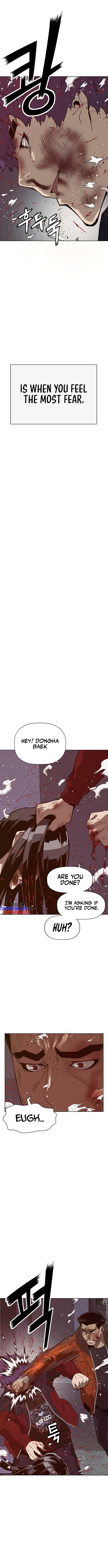 Read Weak Hero EN Manga Online