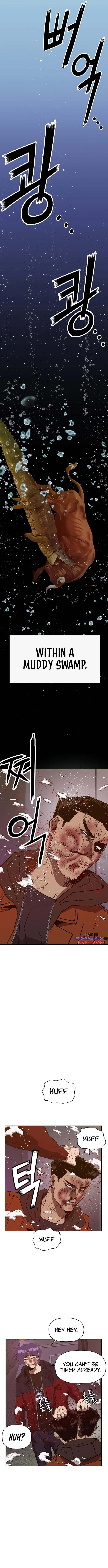 Read Weak Hero EN Manga Online