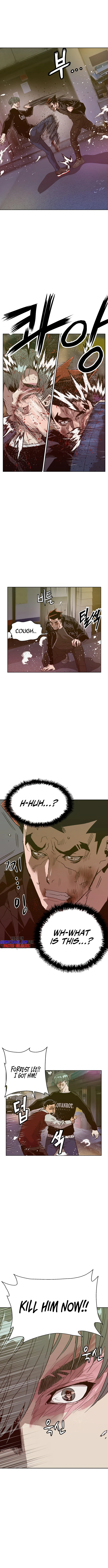 Read Weak Hero EN Manga Online