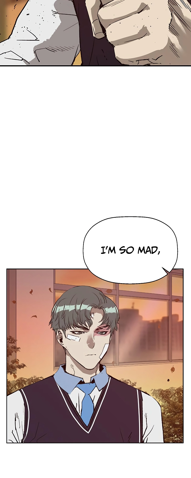 Read Weak Hero EN Manga Online