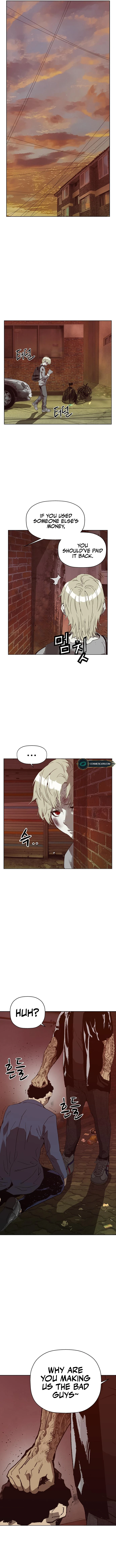 Read Weak Hero EN Manga Online